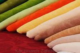 Prześcieradła frotte Tulipan