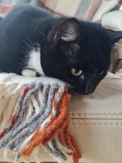 Koc wełniany z frędzlami 150x200 wełna nowozelandzka krata terakota ekri szary czerwony