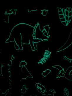 Koc świecący w ciemności 150x200 fluorescencyjny szary w kolorowe dinozaury