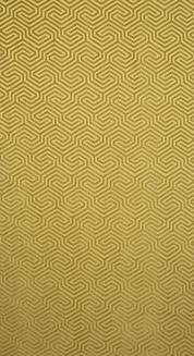 Zasłona gotowa na przelotkach ZAS 140x250 Pierre Cardin Eurofirany złoty