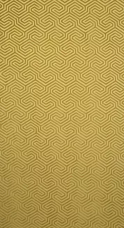 Zasłona gotowa na przelotkach ZAS 140x250 Pierre Cardin Eurofirany złoty