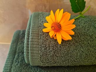 Ręcznik kąpielowy RIMINI 50x100 gładki ciemnozielony