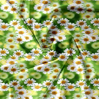 Komplet pościeli dwustronnej 160x200 zielona białe kwiaty rumianki