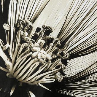 Pościel satynowa SPRING 160x200 Eurofirany jasnobeżowa czarna duży kwiat