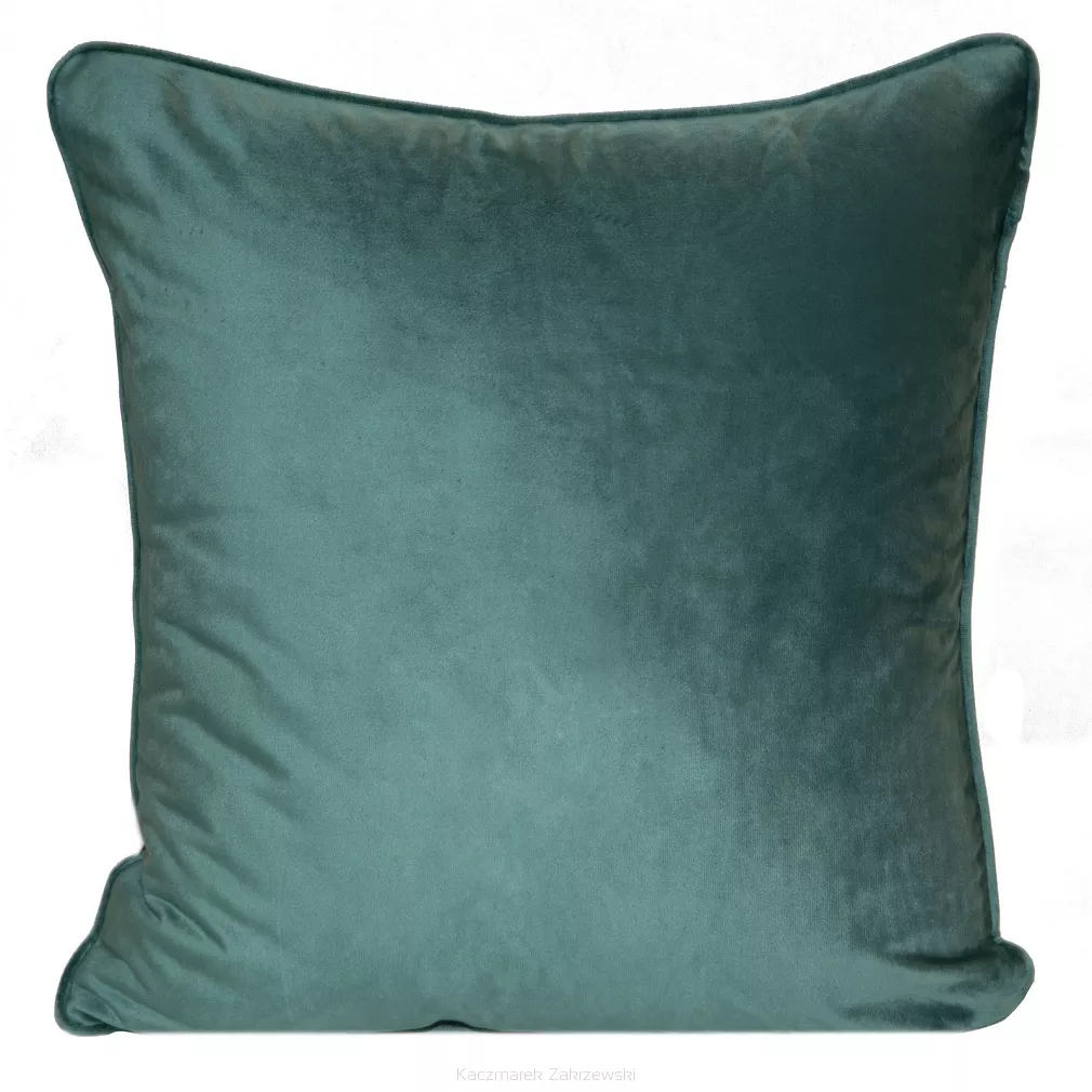 Poszewka dekoracyjna CHP 45x45 Pierre Cardin Eurofirany miętowy
