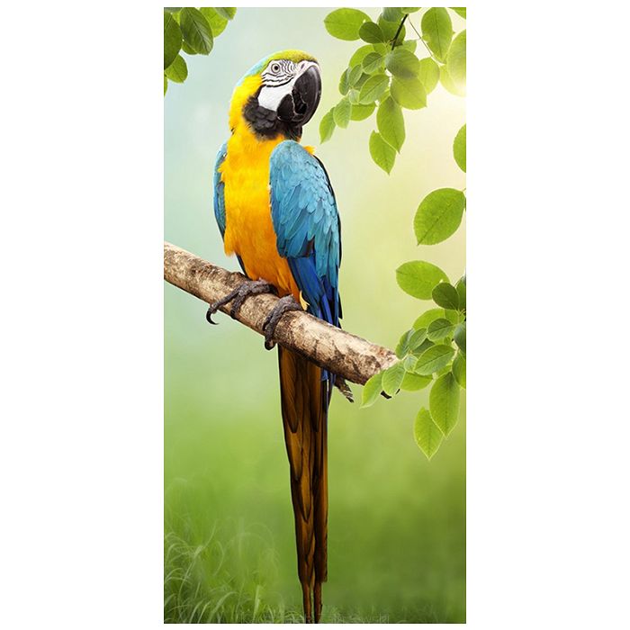 Ręcznik plażowy 70x140 zielony papuga ara