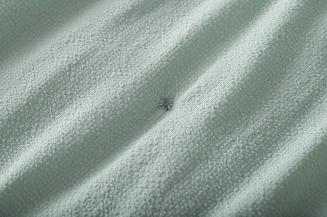 Narzuta dekoracyjna fakturowana Dotta 160x220 szałwiowa z haftem kropek