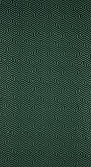 Zasłona gotowa na przelotkach ZAS 140x250 Pierre Cardin Eurofirany ciemnozielony