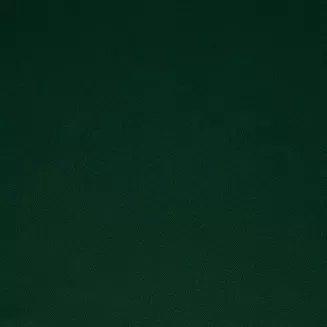 Zasłona gotowa na przelotkach PARISA 140x250 Design91 zielony
