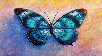 Ręcznik plażowy 100x210 Motyl