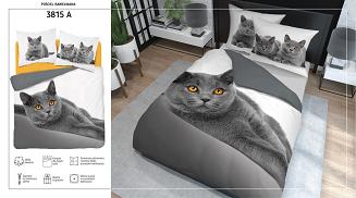 Pościel bawełniana 200x220 NATURA szary kot