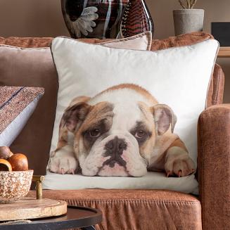 Poszewka dekoracyjna ANIMAL 45x45 Eurofirany biały