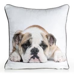 Poszewka dekoracyjna ANIMAL 45x45 Eurofirany biały