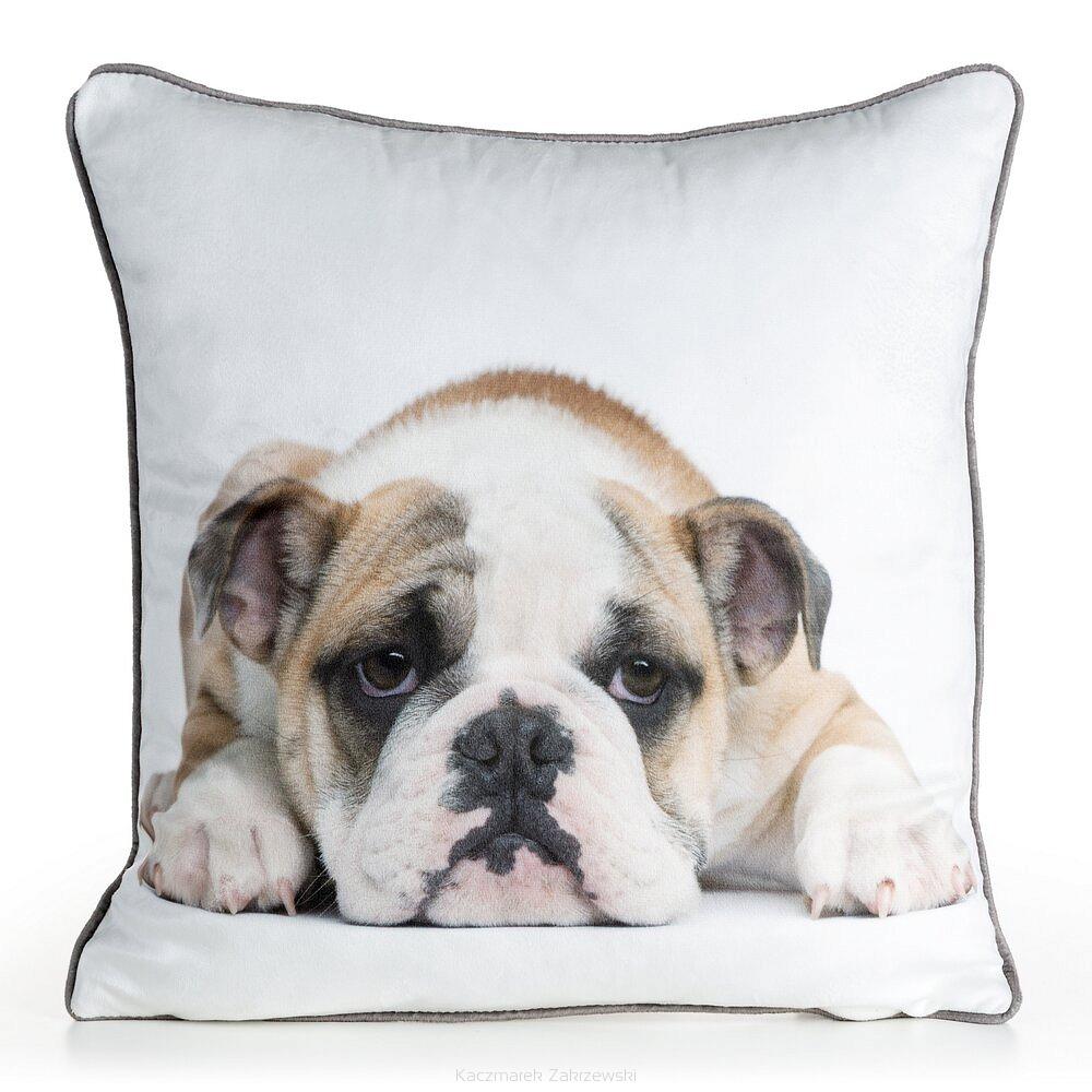 Poszewka dekoracyjna ANIMAL 45x45 Eurofirany biały