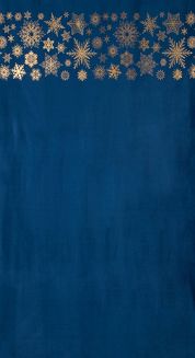 Zasłona gotowa na przelotkach świąteczna ASTRA 140x250 Eurofirany granatowy