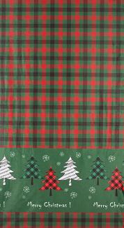 Zasłona gotowa na przelotkach świąteczna FELIKS 140x250 Eurofirany zielony