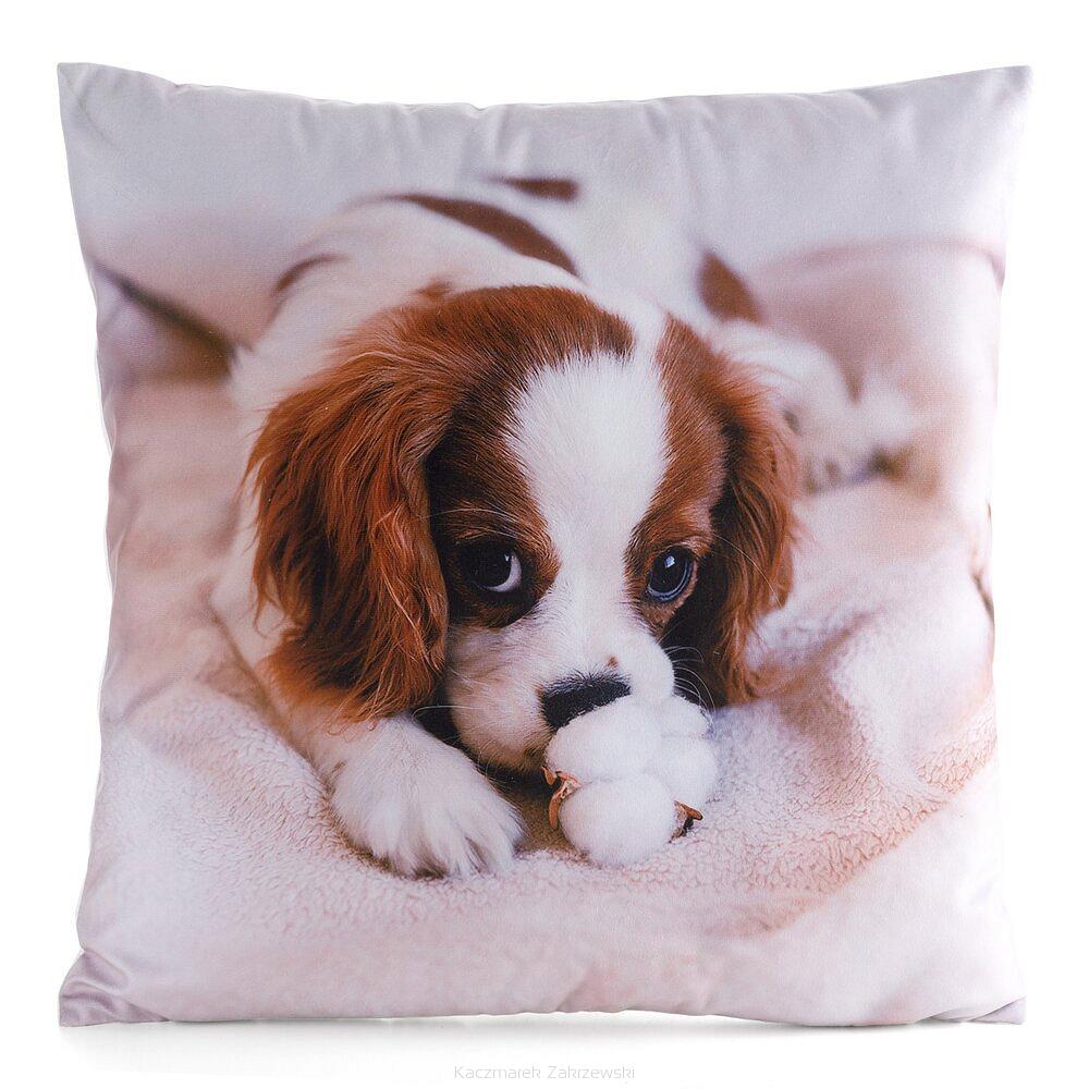 Poszewka dekoracyjna ANIMAL 45x45 Eurofirany biały