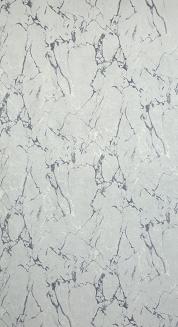 Zasłona gotowa na przelotkach WERA 140x250 Eurofirany jasnoszary