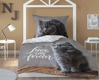 Pościel dla dzieci 140x200 młodzieżowa szara kot brytyjski