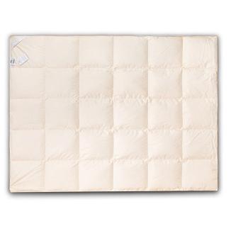 Kołdra półpuchowa całoroczna 200x220 AMZ - 20% PUCH GĘSI 