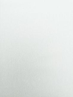 Prześcieradło flanelowe 160x200 FAN białe