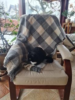 Koc wełniany z frędzlami 150x200 wełna nowozelandzka krata szachownica grafitowa ekri szara