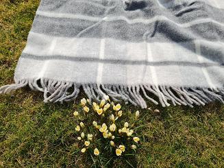 Koc wełniany z frędzlami 160x200 kratka szara grafitowa