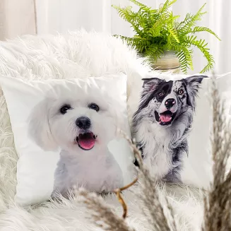 Poszewka dekoracyjna ANIMAL 45x45 Eurofirany biała czarna pies border collie