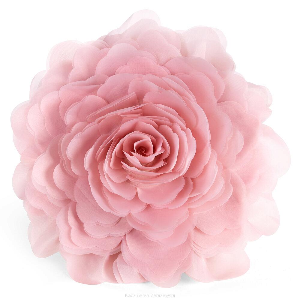 Poszewka dekoracyjna FLORES 40 Eurofirany pudrowy