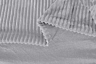 Pościel polarowa MIŚ 200x220 welur szara w prążki