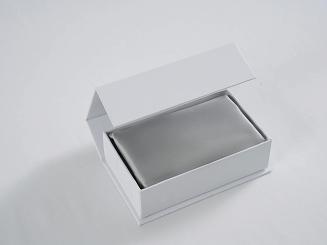 Jedwabna Poszewka 50x70 Szara