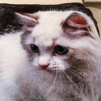 Koc z mikrofibry Nature Touch  160x200 grafitowy beżowy kremowy kotek