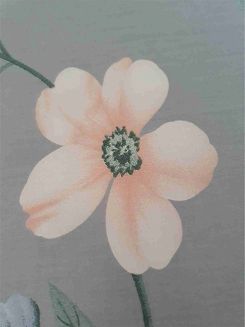 Pościel satynowa 200x220 wzór pastelowe kwiaty na szarości
