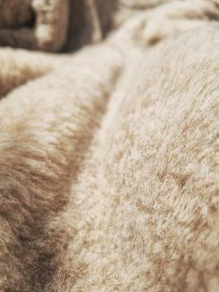 Koc wełniany żakardowy 155x200 kremowy beżowy brązowy kwiaty zawijasy