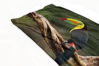 Ręcznik plażowy 70x140 tukan