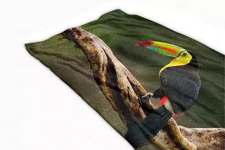 Ręcznik plażowy 70x140 tukan
