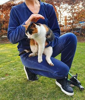 Dres damski LUNA kod 306 indygo