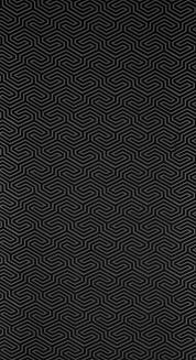 Zasłona gotowa na przelotkach ZAS 140x250 Pierre Cardin Eurofirany czarny