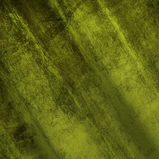 Zasłona gotowa na przelotkach SARAH 140x250 Eurofirany oliwkowy