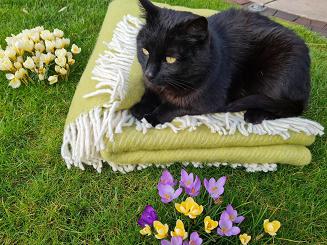 Koc z wełny nowozelandzkiej MAGDA 150x200 diagonalny groszkowy