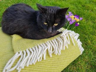 Koc z wełny nowozelandzkiej MAGDA 150x200 diagonalny groszkowy