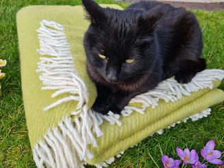 Koc z wełny nowozelandzkiej MAGDA 150x200 diagonalny groszkowy