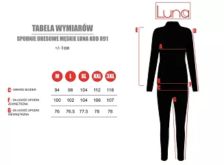 Spodnie dresowe męskie LUNA kod 891 granatowe