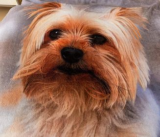 Koc z mikrofibry Nature Touch 160x200 szary beżowy brązowy Yorkshire Terrier