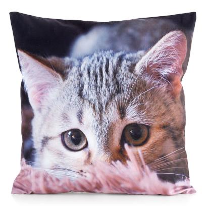 Poszewka dekoracyjna ANIMAL 45x45 Eurofirany szara jasnopopielata kot mruczek