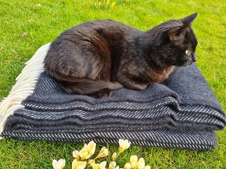 Koc z wełny nowozelandzkiej MAGDA 150x200 diagonalny czarny