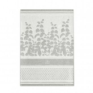 Komplet ścierek kuchennych ZWOLTEX ZIOŁA zielony beżowy szary