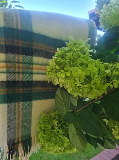 Koc wełniany z frędzlami Krzyś II 160x200 kratka ekri zielony grafitowy