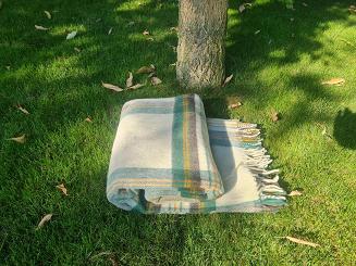 Koc wełniany z frędzlami Krzyś II 160x200 kratka ekri zielony grafitowy