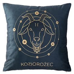 Poszewka dekoracyjna ZODIAK 40x40 Darymex granatowa Koziorożec